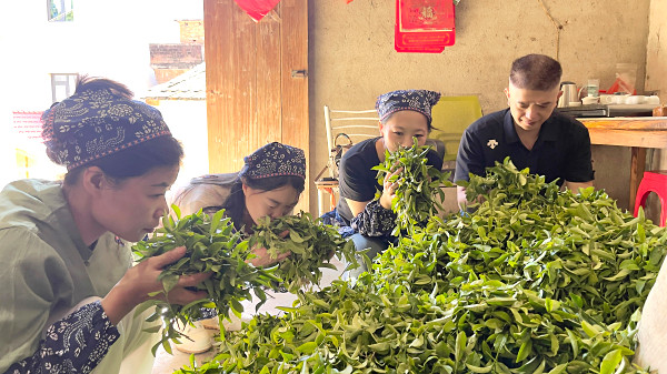 茶艺师培训:2025年艺术与修身同在